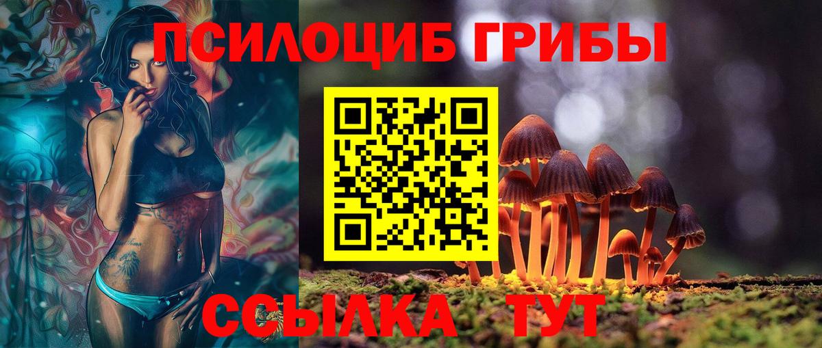 наркошоп  Галлюциногенные грибы Psilocybe  Вход с VPN  Омск 