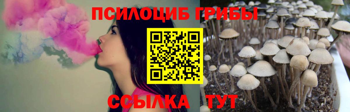 Псилоцибиновые грибы MAGIC MUSHROOMS Омск